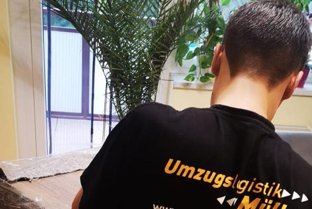 Laborumzug Dreiheide stressfrei umziehen 